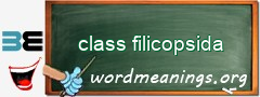 WordMeaning blackboard for class filicopsida